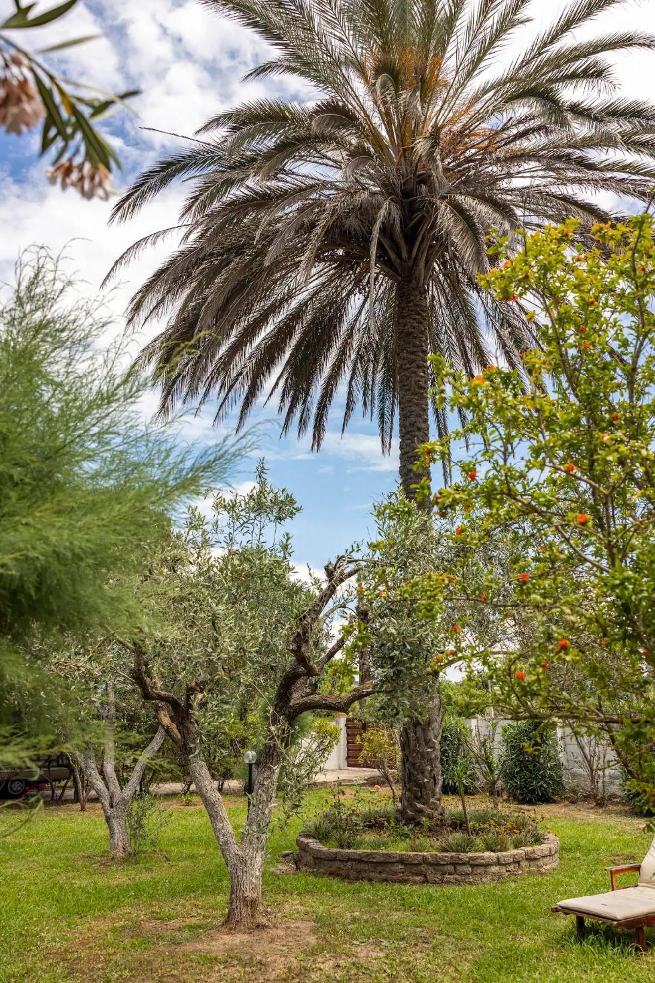 St. George Villa آغيوس غيوريوس المظهر الخارجي الصورة